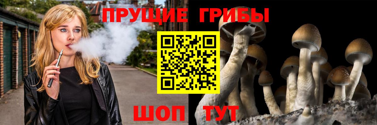 Псилоцибиновые грибы Psilocybine cubensis  Вход с VPN  Галлюциногенные грибы Cubensis  Сухой Лог 